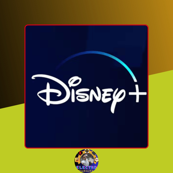 PAYI ACCOUNT DISNEY (EUROP):12 MONTHS